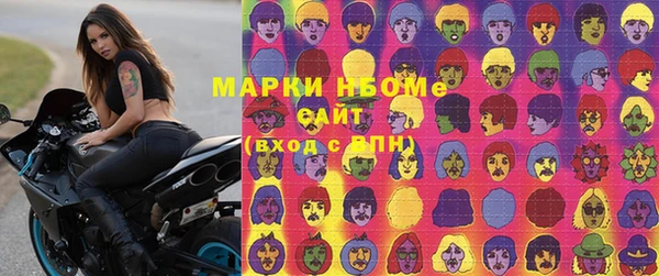 кокс Алексин