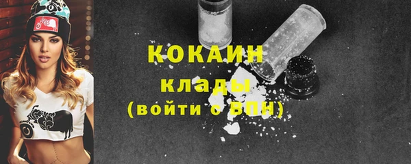 кокс Алексин