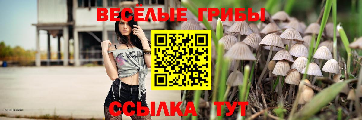 Галлюциногенные грибы Psilocybine cubensis  Вход с VPN  Галлюциногенные грибы ЛСД  Моздок 